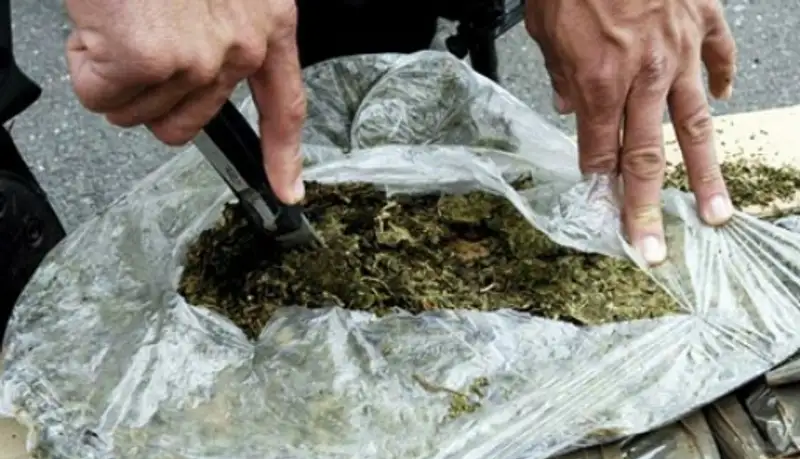 Китайскую клетчатую сумку, набитую марихуаной, изъяли у жителя Карагандинской области