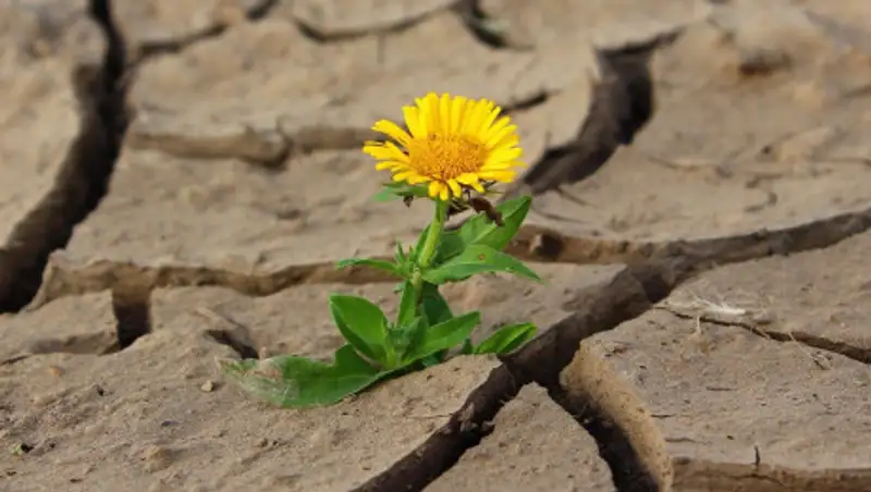 В семи регионах Казахстана объявлено штормовое предупреждение