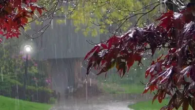 Zakon.kz, фото - Новости Zakon.kz от 08.11.2017 13:55