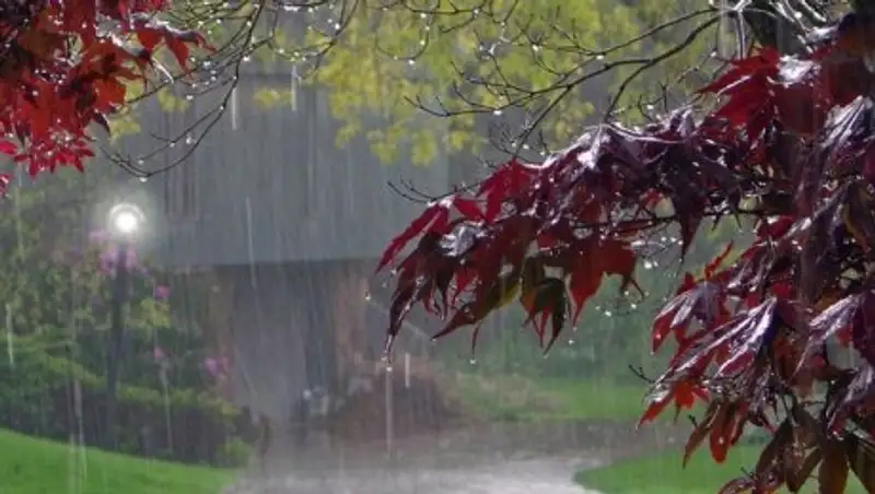 Пасмурно и осадки: синоптики озвучили прогноз погоды на три дня