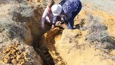 Zakon.kz, фото - Новости Zakon.kz от 13.07.2017 23:27