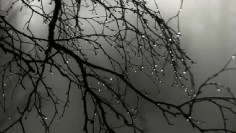 На большей части Казахстана 25 марта пройдут осадки