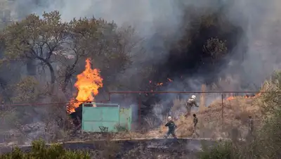 Статитстика от вице-министра, фото - Новости Zakon.kz от 02.05.2022 16:54