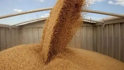 Zakon.kz, фото - Новости Zakon.kz от 09.08.2014 23:22