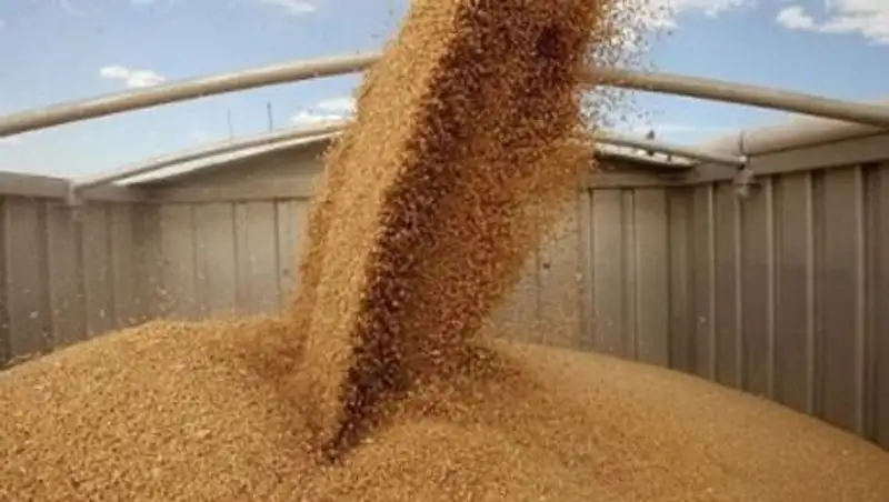 Кыргызстан планирует закупить у Казахстана 300 тыс тонн зерна в 2014 году