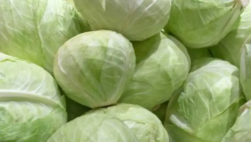 В Алматы утвердят допустимую цену на капусту