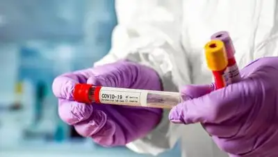 zakon.kz., фото - Новости Zakon.kz от 24.11.2020 08:01