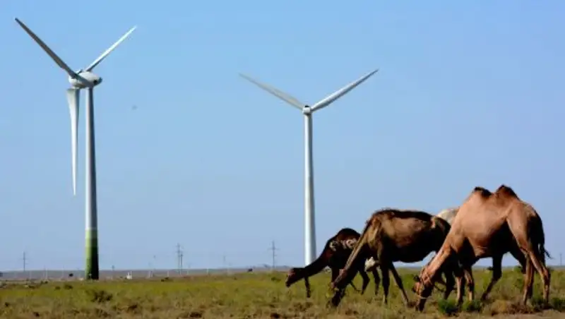 В Мангистауской области активно продвигают тему EXPO 2017 Астана: "Энергия будущего"