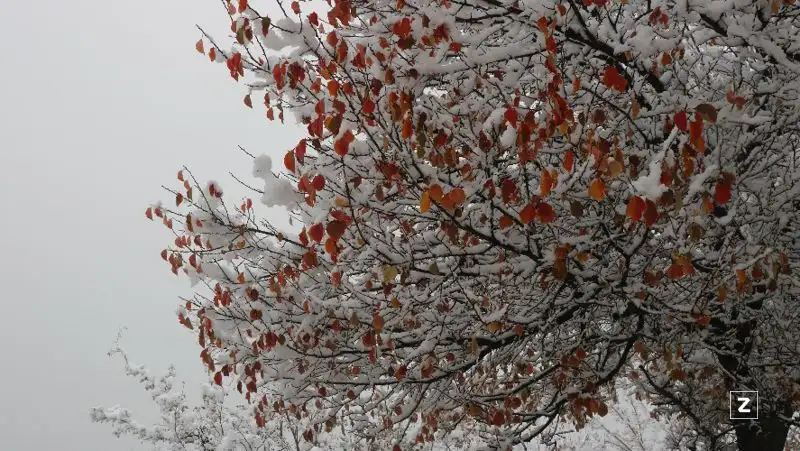 Какой будет погода 8 декабря в Казахстане