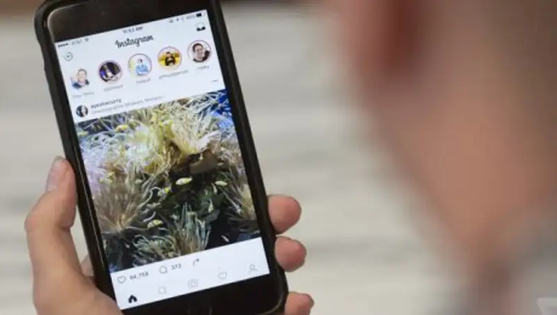 Instagram начнет размывать "деликатные" фото