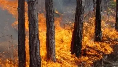 Zakon.kz, фото - Новости Zakon.kz от 17.07.2014 21:56
