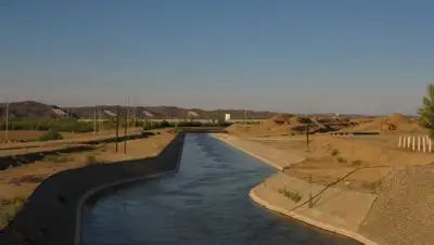 Yvision, фото - Новости Zakon.kz от 24.04.2018 19:27