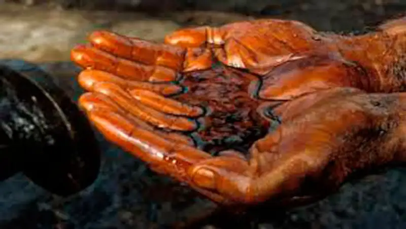 С января по сентябрь текущего года на отечественных НПЗ было переработано 10 993,346 тыс. тонн нефти., фото - Новости Zakon.kz от 21.10.2014 22:32