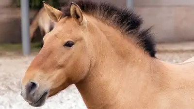 Zakon.kz, фото - Новости Zakon.kz от 11.03.2016 19:53