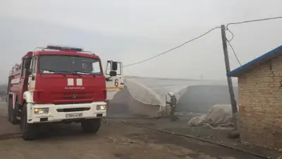 КЧС МВД РК, фото - Новости Zakon.kz от 23.03.2019 19:59