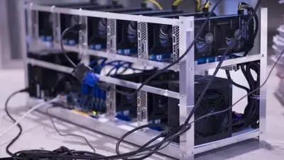 Pixabay, фото - Новости Zakon.kz от 05.11.2021 21:42