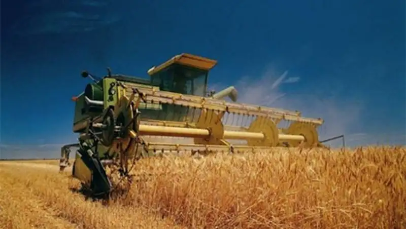 О ходе уборочных работ в Северном Казахстане