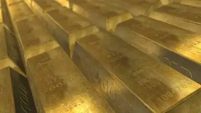 pixabay.com, фото - Новости Zakon.kz от 08.10.2020 11:38