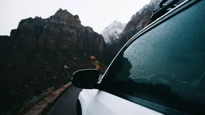 Pixabay.com, фото - Новости Zakon.kz от 11.11.2021 17:53