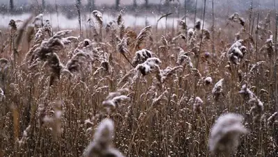 На востоке Казахстана ожидается мокрый снег 17 сентября , фото - Новости Zakon.kz от 16.09.2022 16:39