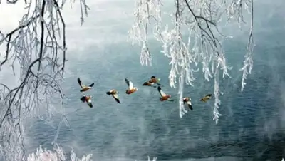 Zakon.kz, фото - Новости Zakon.kz от 13.03.2017 12:00