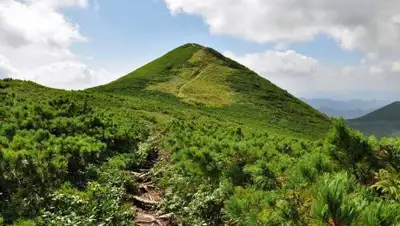 Zakon.kz, фото - Новости Zakon.kz от 02.06.2016 18:48