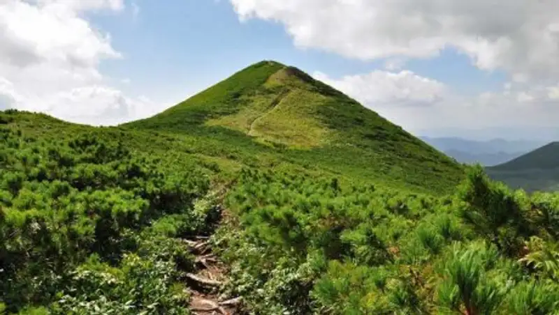 В Японии шестой день ищут ребенка, которого родители в наказание бросили в лесу