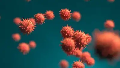 PublicVibe, фото - Новости Zakon.kz от 16.12.2020 01:58