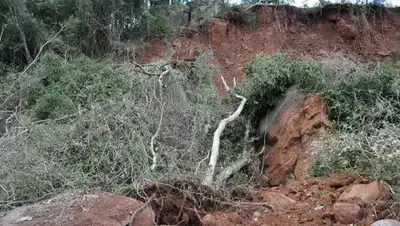 Zakon.kz, фото - Новости Zakon.kz от 24.05.2017 17:46