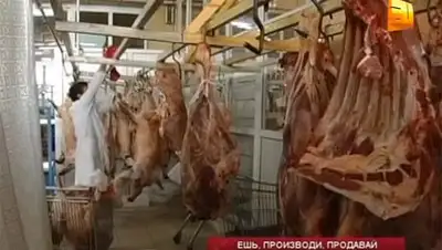 Zakon.kz, фото - Новости Zakon.kz от 12.08.2014 15:30