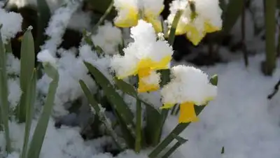 pixabay.com, фото - Новости Zakon.kz от 01.04.2021 11:15