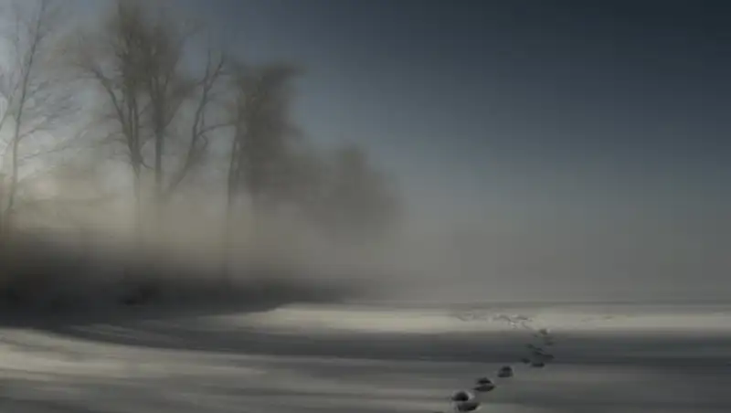 Туман и осадки ожидаются в Казахстане 2 декабря