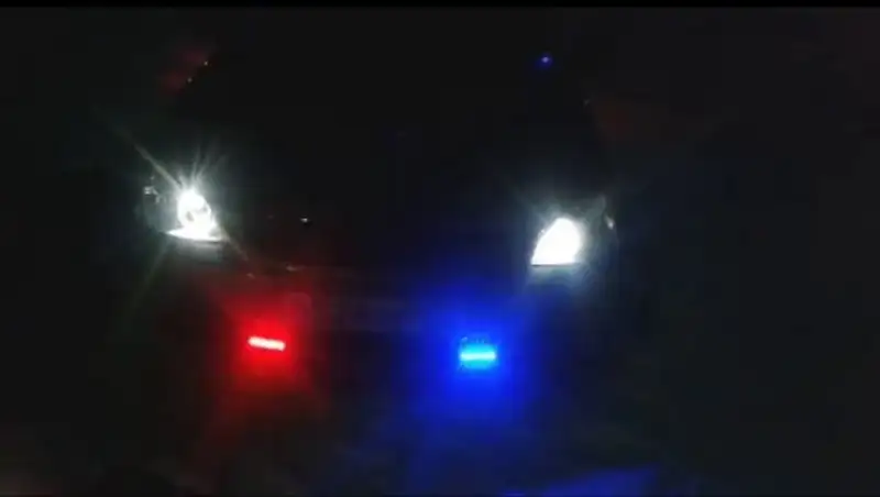 В Алматы наказаны участники еще одного свадебного кортежа