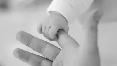 alfahir.hu, фото - Новости Zakon.kz от 31.07.2018 21:58