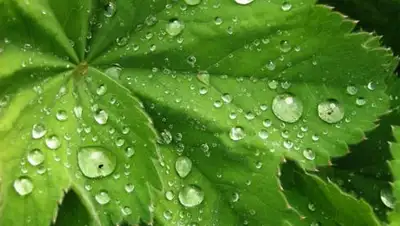 Zakon.kz, фото - Новости Zakon.kz от 14.08.2014 15:59