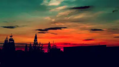 pexels.com, фото - Новости Zakon.kz от 12.04.2019 12:53