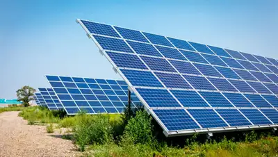 spaq.kz, фото - Новости Zakon.kz от 21.01.2020 10:49