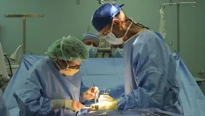 pixabay, фото - Новости Zakon.kz от 24.06.2018 18:07