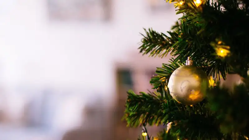 Советы от спасателей: как правильно установить елку