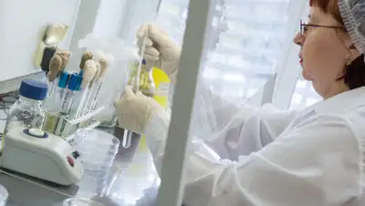 agrobezopasnost, фото - Новости Zakon.kz от 19.06.2020 19:48