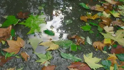 Zakon.kz, фото - Новости Zakon.kz от 08.09.2017 12:31