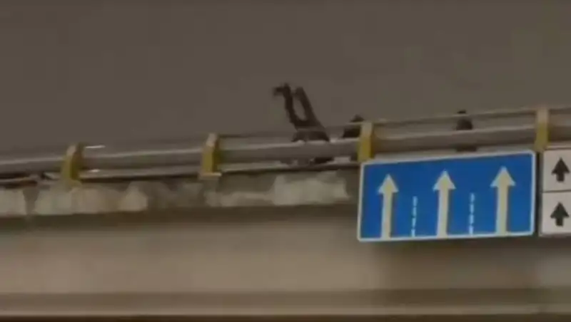 В Алматы полицейские сняли с перил моста суицидника