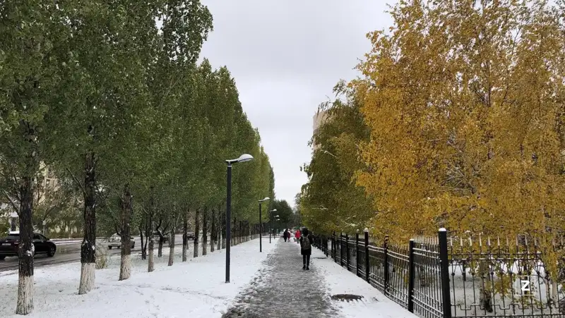 Какая погода ждет казахстанцев 24 ноября