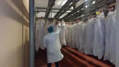 Zakon.kz, фото - Новости Zakon.kz от 07.09.2017 18:20