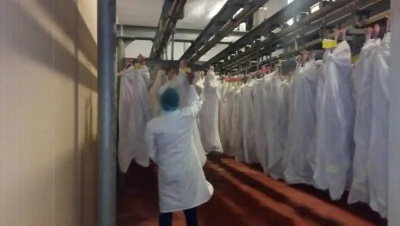 Еще одна партия казахстанской баранины отправлена в Иран