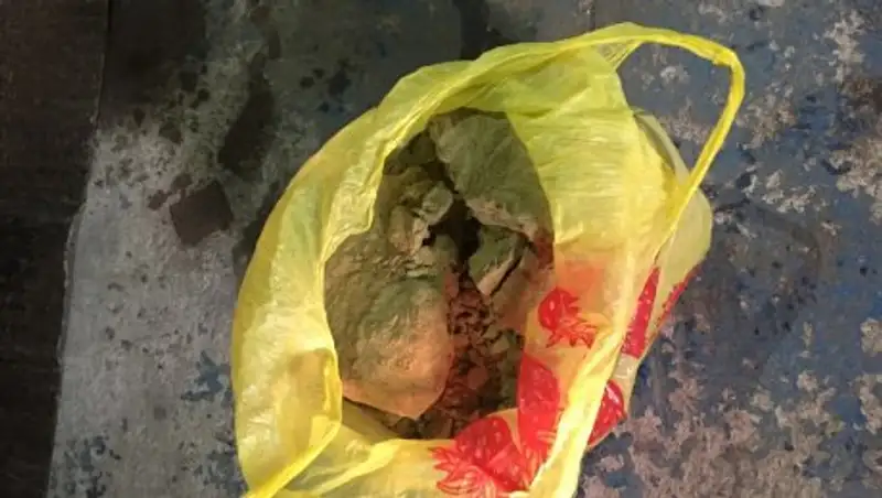 В Астане в одном из домов обнаружили крупную партию наркотиков 