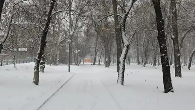 Какой будет погода в конце января, рассказали синоптики  , фото - Новости Zakon.kz от 30.01.2023 12:57