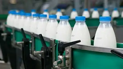 Zakon.kz, фото - Новости Zakon.kz от 04.06.2015 17:57