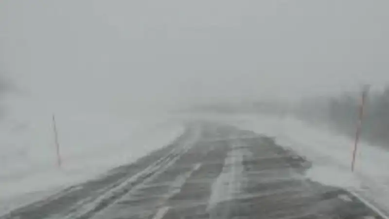 Из-за бурана закрыто движение автотранспорта на участках трассы «Алматы-Ташкент-Термез»