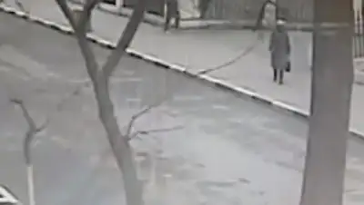 Скриншот с видео, фото - Новости Zakon.kz от 18.02.2018 23:16